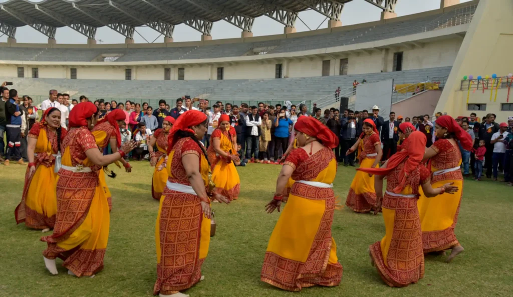 Culture-DSF-6